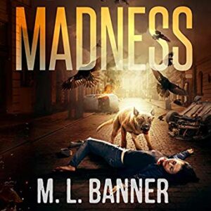 Madness (Madness Chronicles Book 1) - An Audio Performance